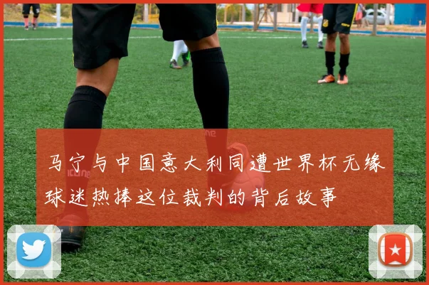 马宁与中国意大利同遭世界杯无缘球迷热捧这位裁判的背后故事
